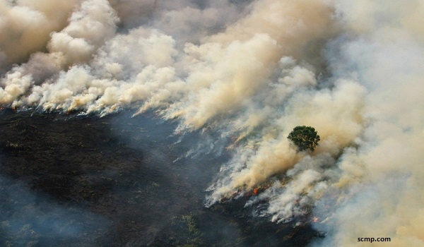 Mengurai Akar Masalah Kebakaran Hutan dan Lahan