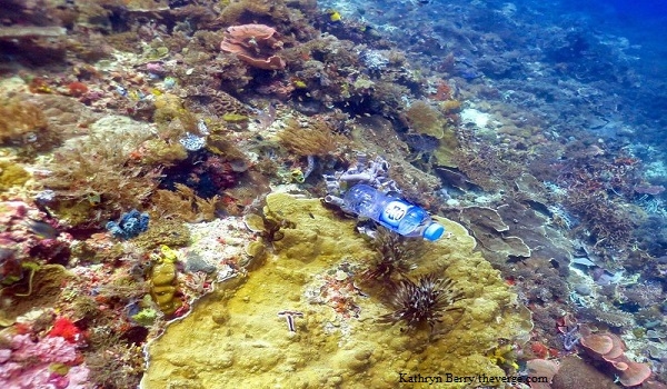 Polusi Plastik Membuat Karang Sakit