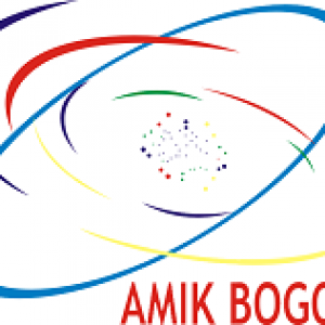 Akademi Manajemen Informatika Dan Komputer Bogor