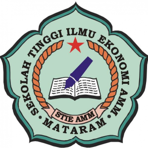 Sekolah Tinggi Ilmu Ekonomi AMM 