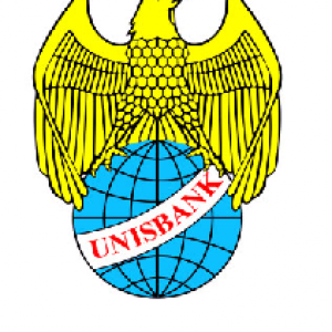 Universitas Stikubank