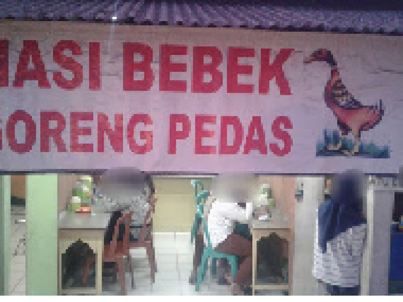 Nasi Bebek Goreng & Pedas