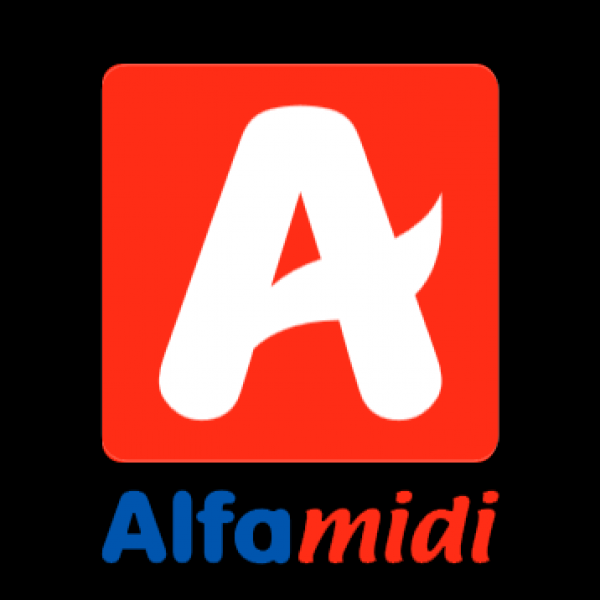 Alfamidi Chairil Anwar